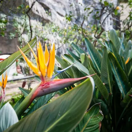 Casa Il Capriccio, Spiaggia Grande Tatil Evi *