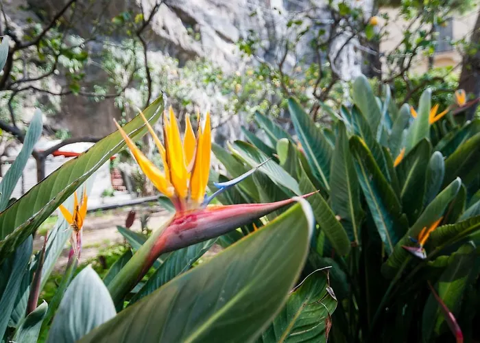 Casa Il Capriccio, Spiaggia Grande 別荘 *